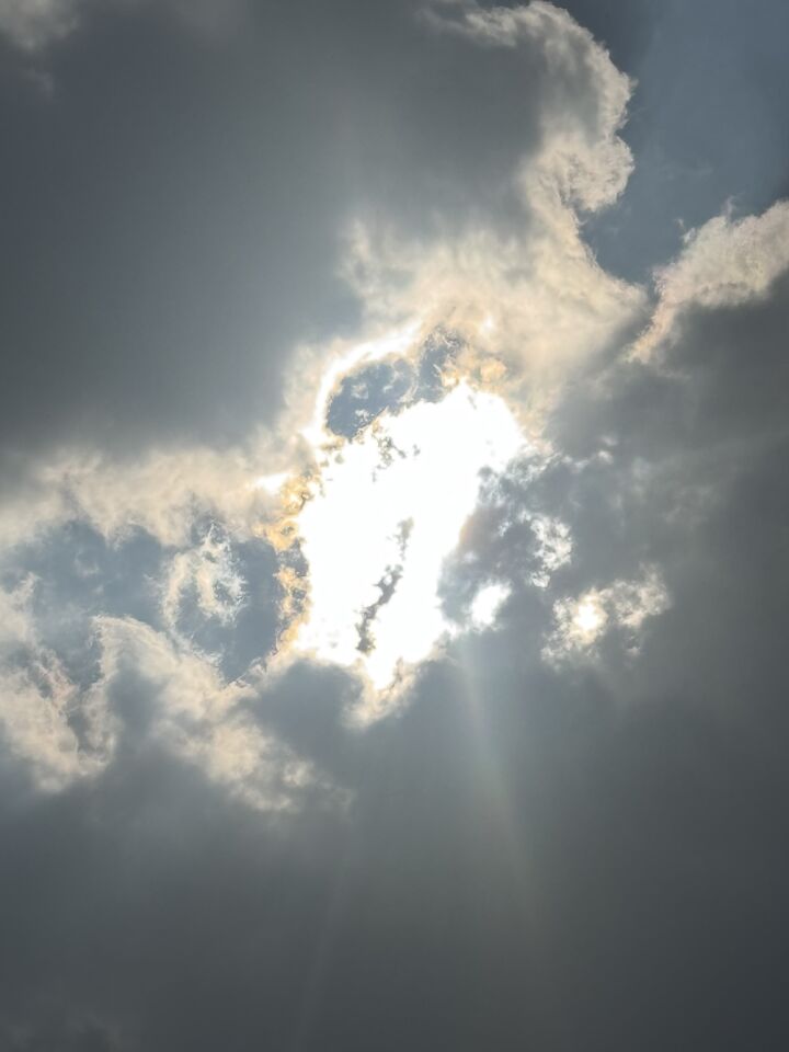 Bol in vlakken zijn nderverdeeld foto