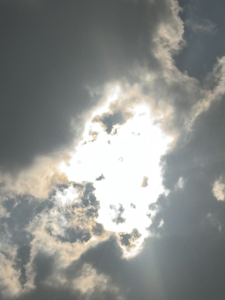 Bol in vlakken zijn nderverdeeld foto