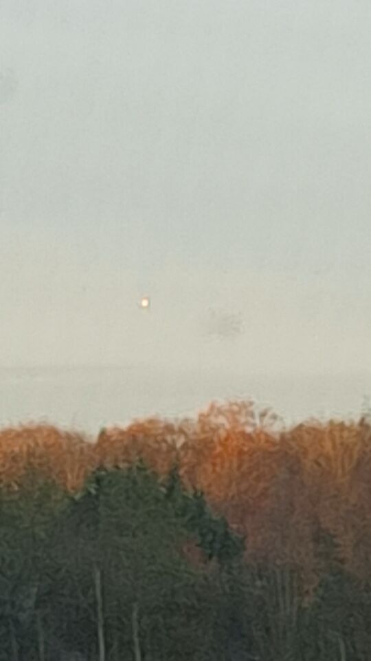 Heldere witte bol foto