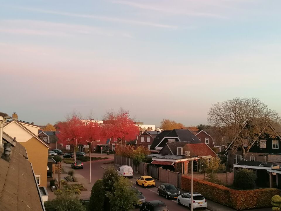 Witte bal omgeving Rijssen. 6 November s'morgens. foto