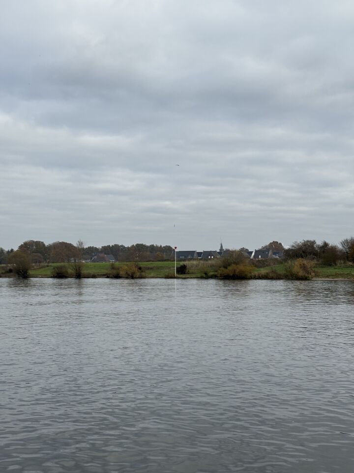 Slank ovaalvormig voorwerp wat in de lucht zweefde. foto