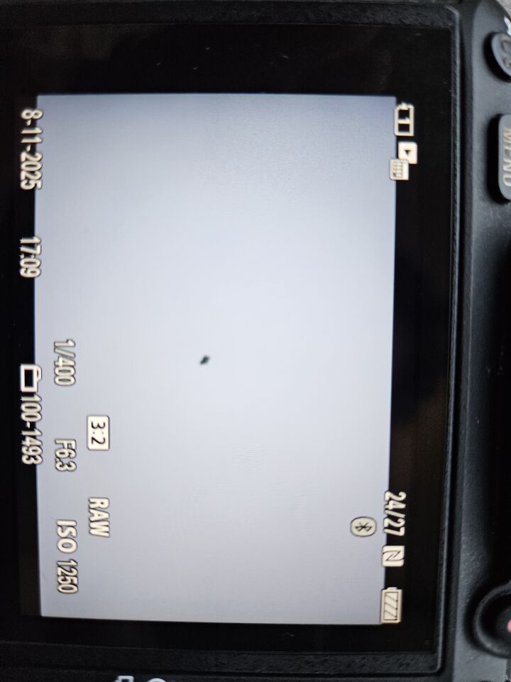 Vreemd groen voorwerp zie foto's foto