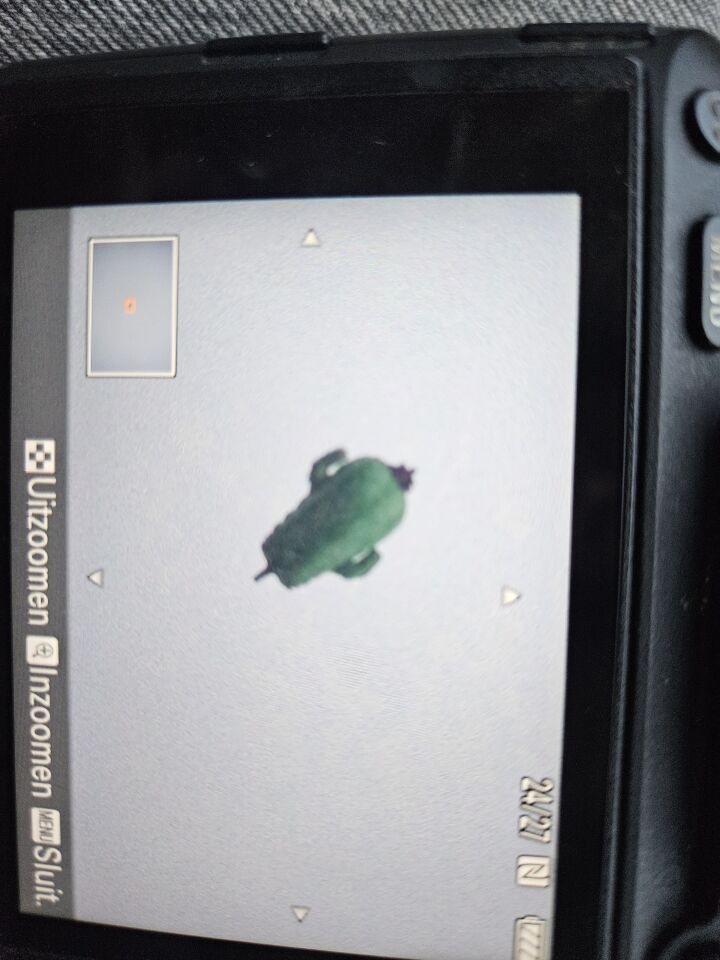 Vreemd groen voorwerp zie foto's foto