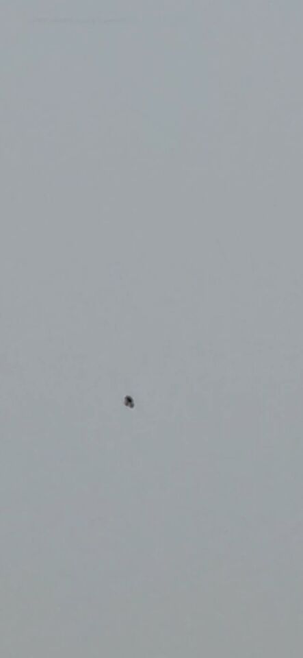 Bewegend object als boomerang of parachute foto