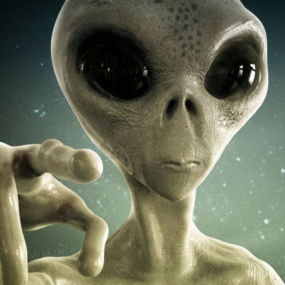 Een UFO in mijn tuin foto