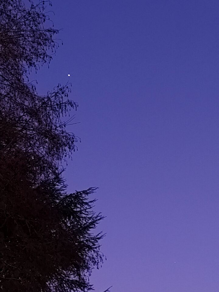 Helder object hoog in het westen foto