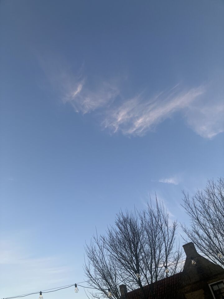 Bol in Hollum ameland foto