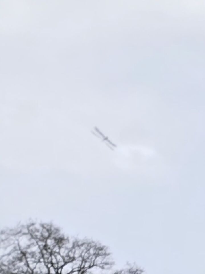 Libelle-achtig object ontdekt na maken foto foto