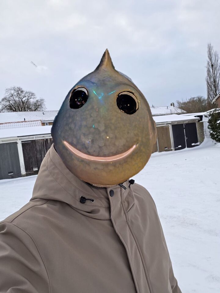 Libelle-achtig object ontdekt na maken foto foto