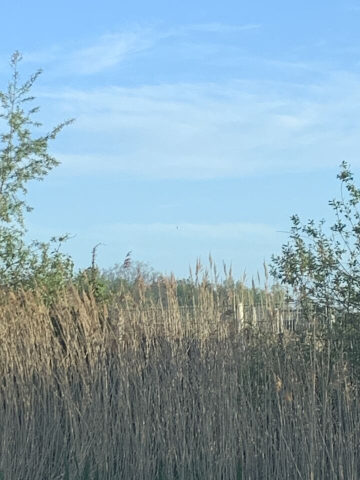 Grijze bol van metaal foto