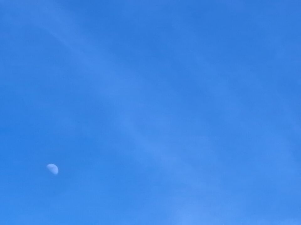 Ufo Alphen aan den Rijn foto