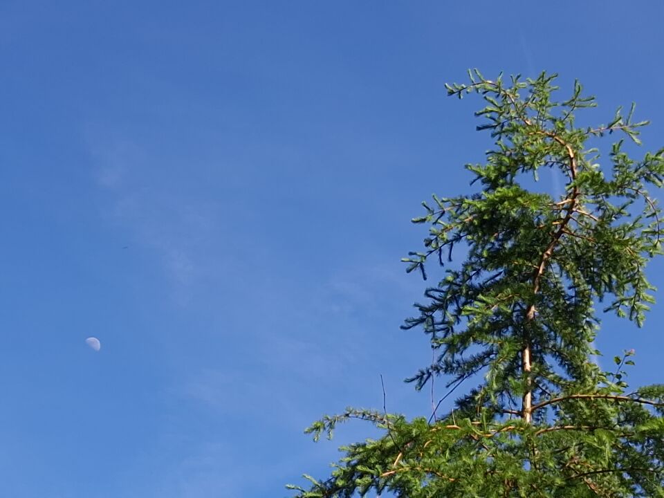 Ufo Alphen aan den Rijn foto