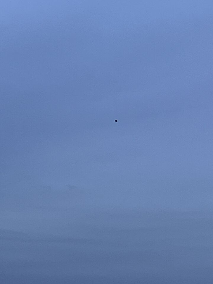 Zwarte schijf boven polder Rhoon, richting Oude Maas foto