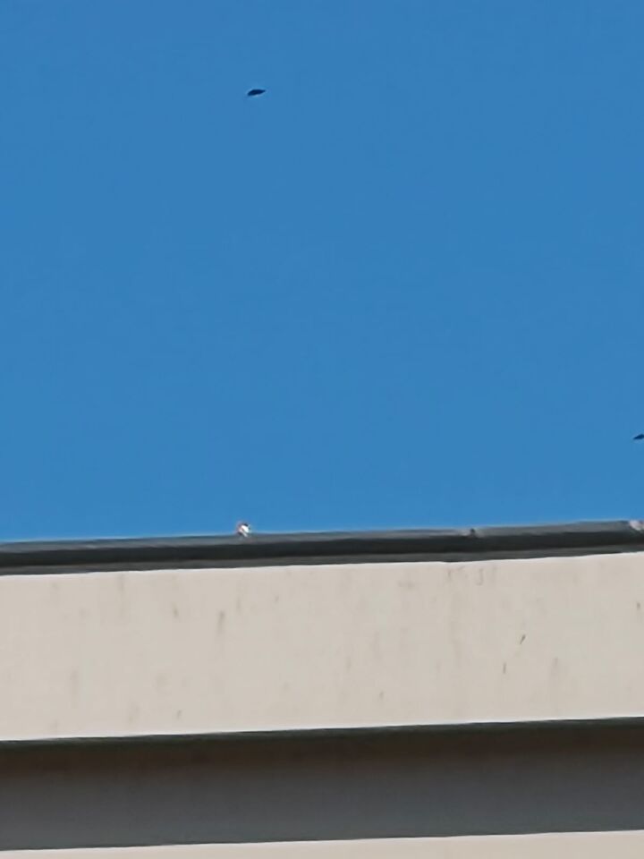 Schotelvormig object met lichtpunt eronder. foto