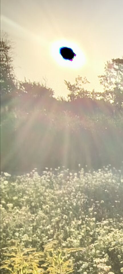 Zwarte ovale object voor de zon foto