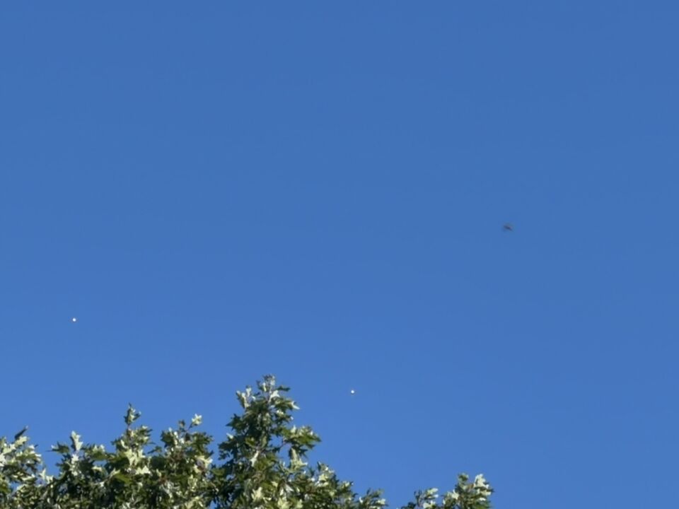 Meerdere lichte kleine objecten die onafhankelijk van elkaar bewegen. foto