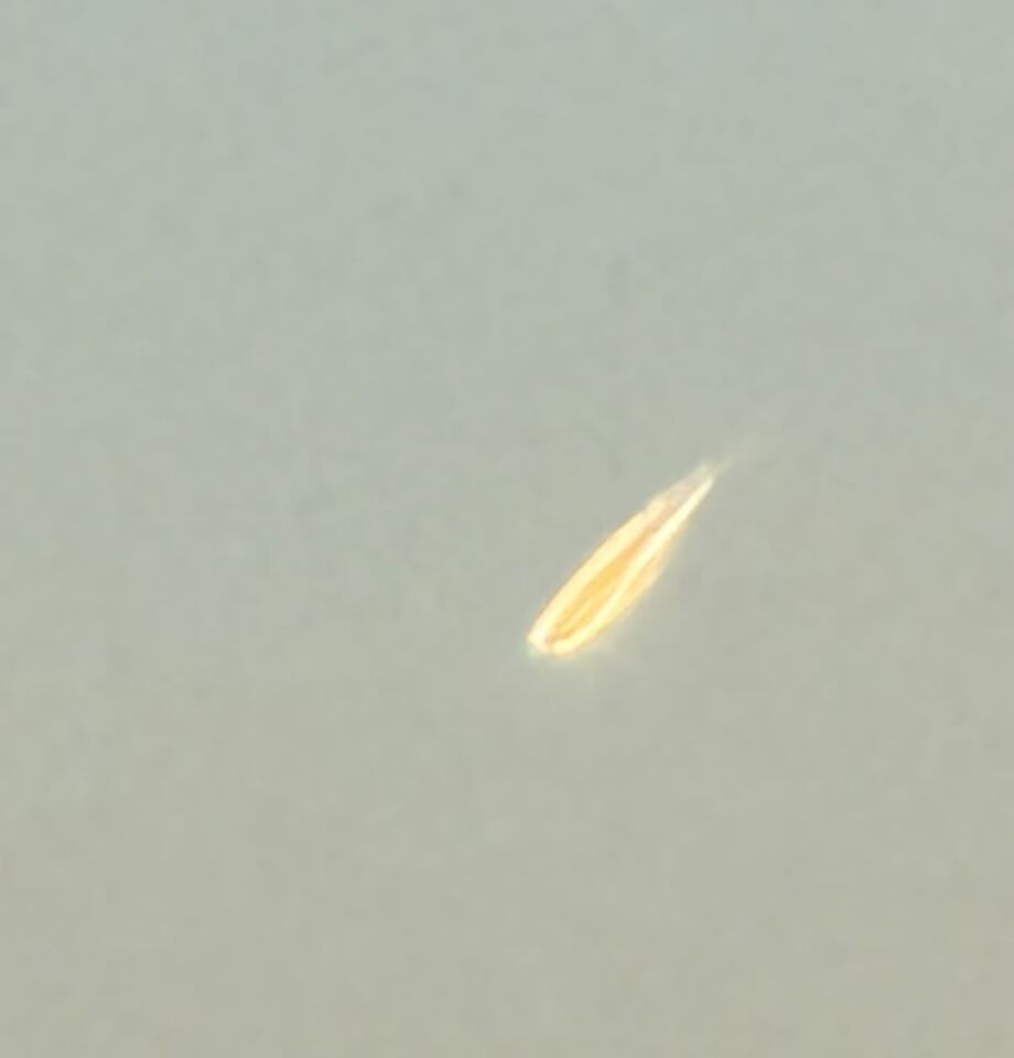 Raar ding in de lucht foto