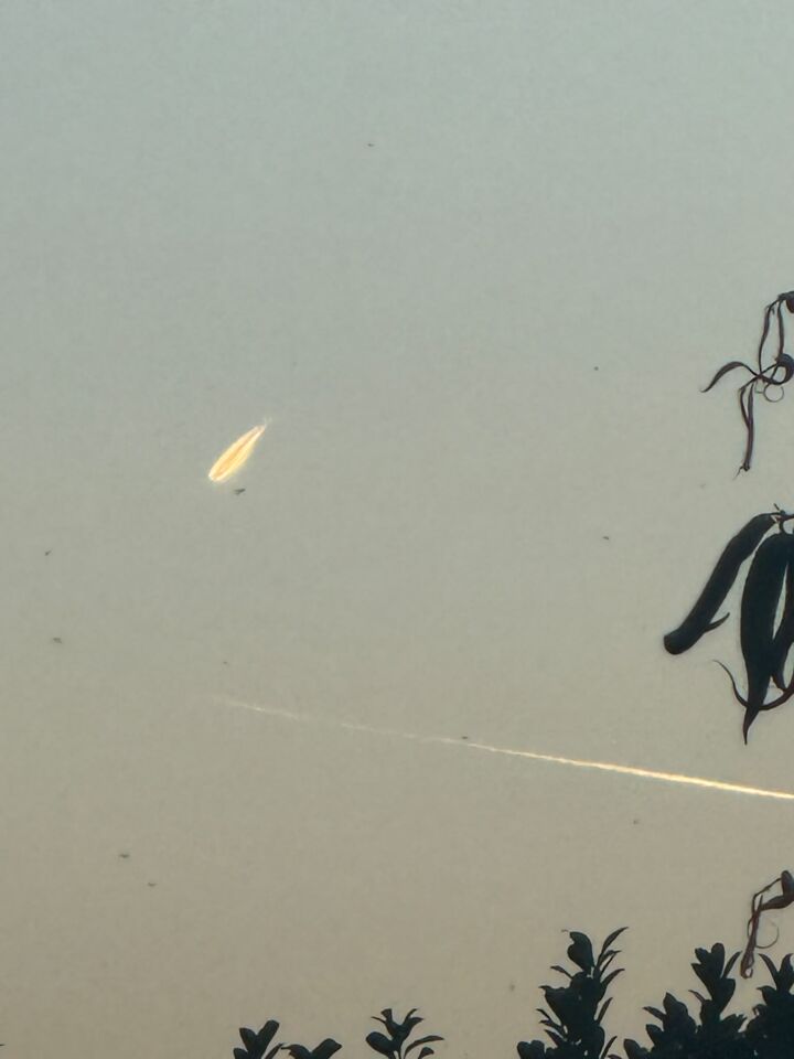 Raar ding in de lucht foto