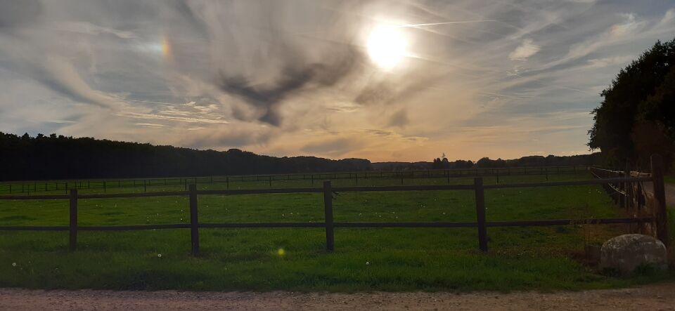 Groene kleine bol met diverse vlakjes foto