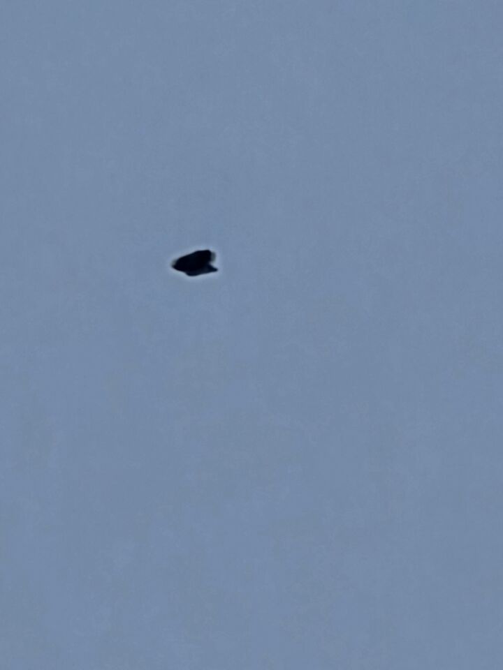 Gitzwart object dat tijdens het vliegen zichtbaar van vorm veranderde foto