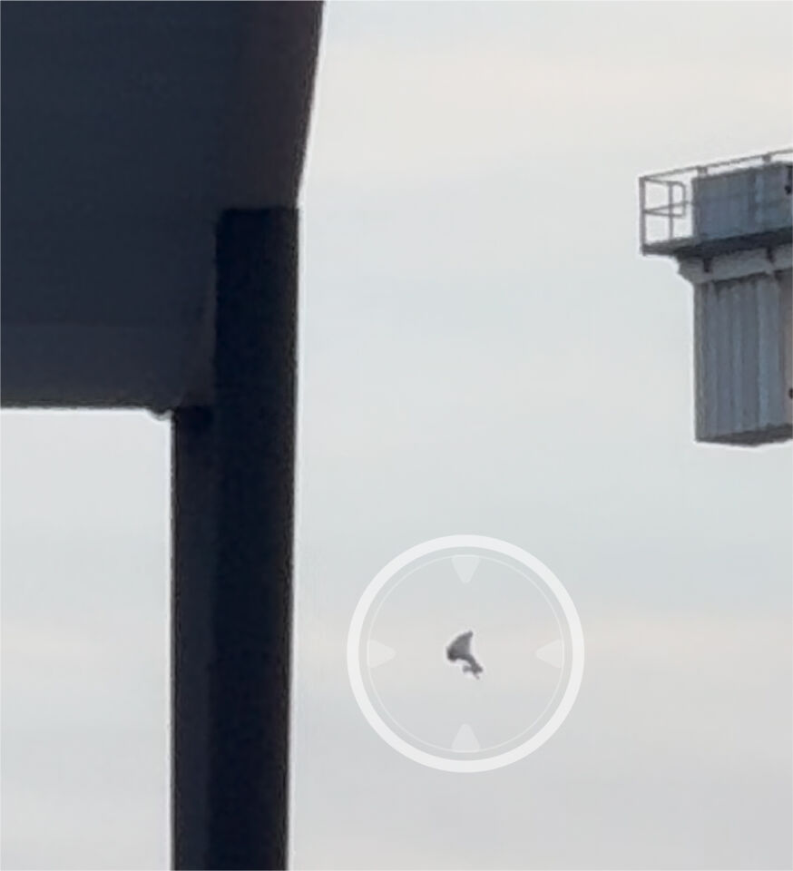 Onbekend object boven Veenendaal Gelderland foto