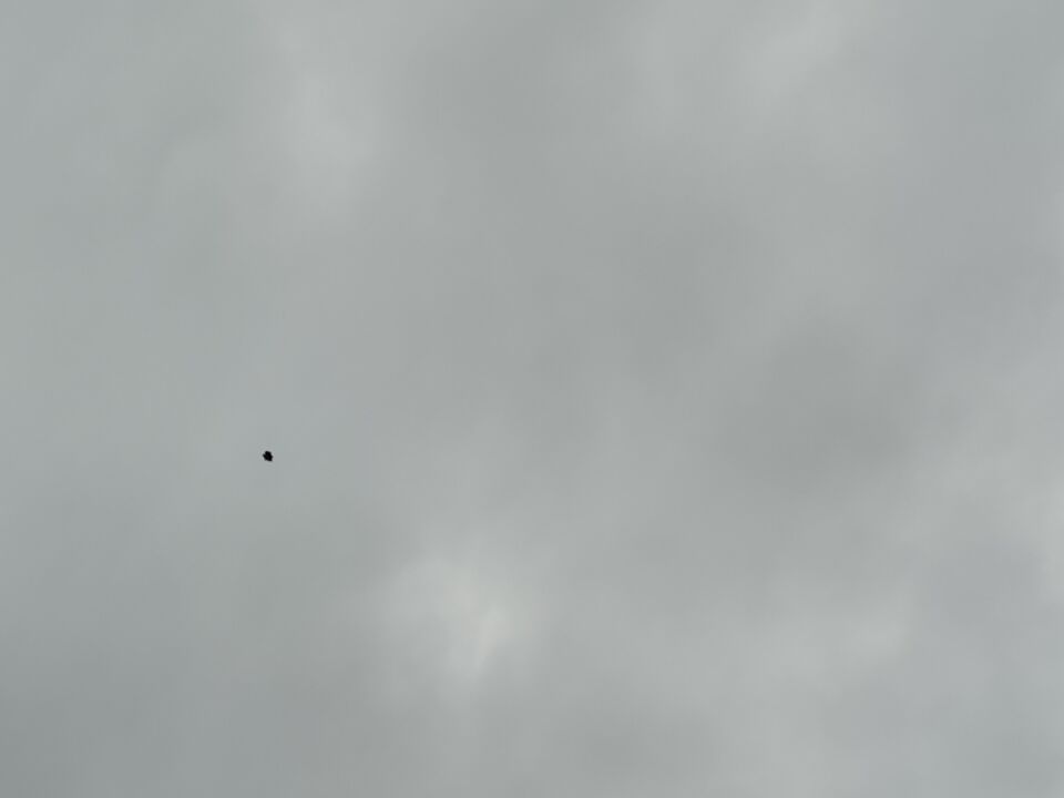 Zwart onregelmatig gevormd object vloog gelijkelijk geruisloos over, circa 500 foto