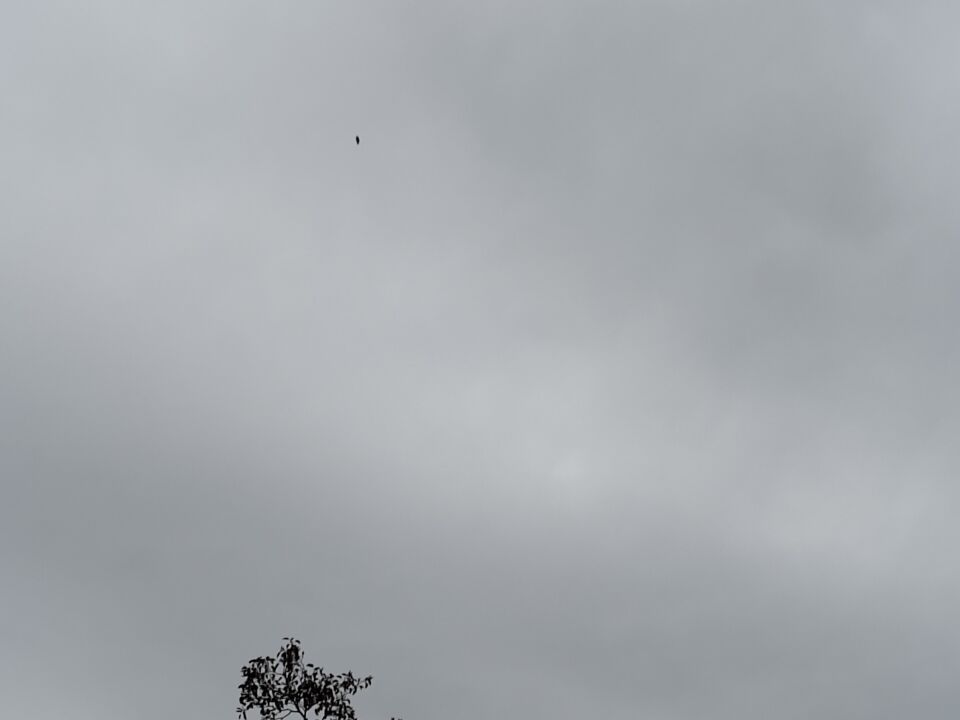 Zwart onregelmatig gevormd object vloog gelijkelijk geruisloos over, circa 500 foto