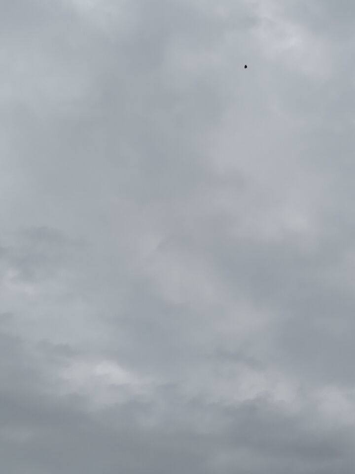 Zwart onregelmatig gevormd object vloog gelijkelijk geruisloos over, circa 500 foto