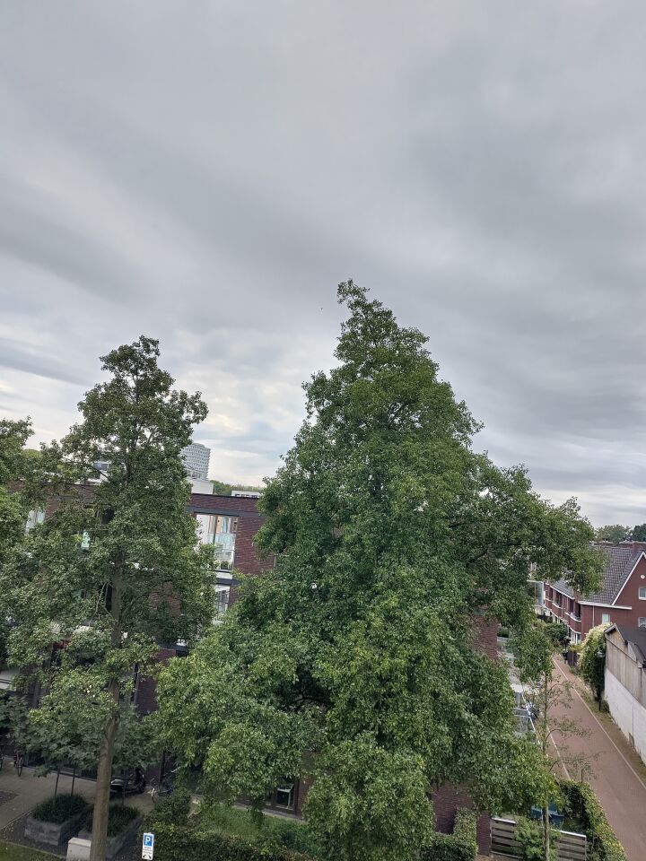 Zwart onregelmatig gevormd object vloog gelijkelijk geruisloos over, circa 500 foto