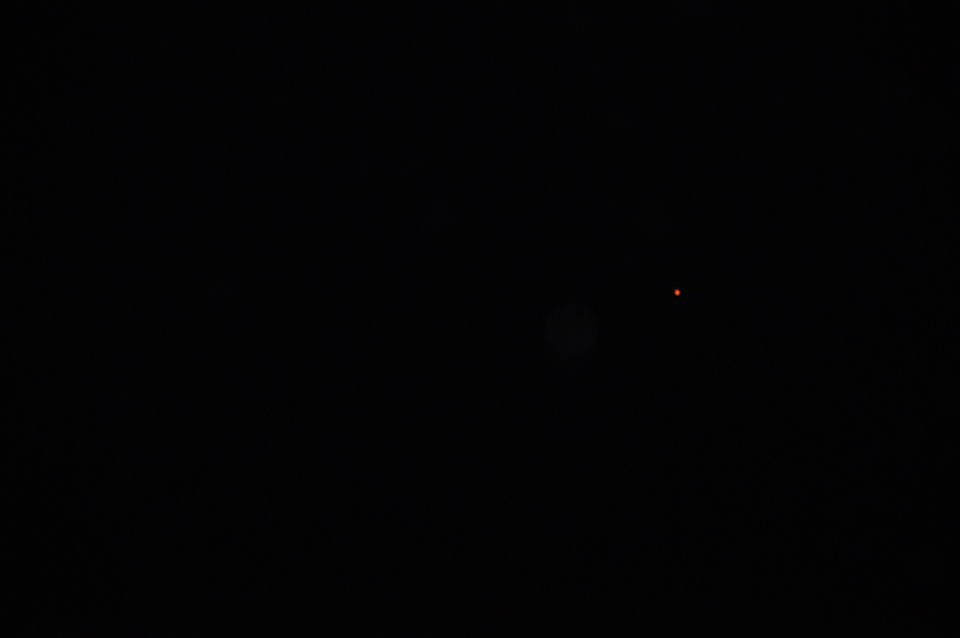 Oraje bollen foto