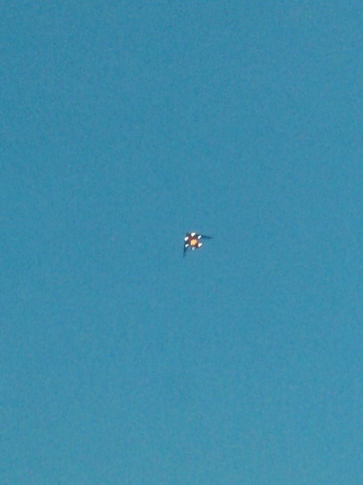 Wie weet wat dit is? foto
