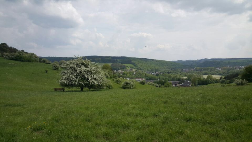 Zwart object op foto tijdens wandeling foto