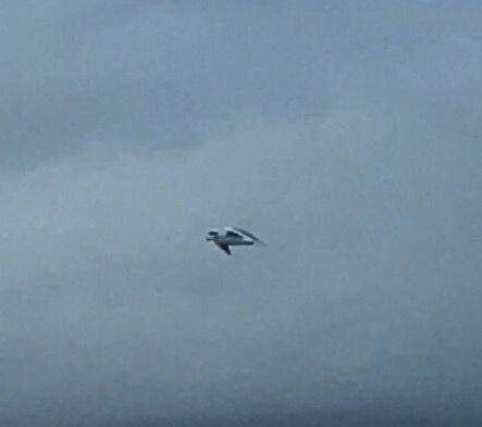 Zwart object boven de zee foto