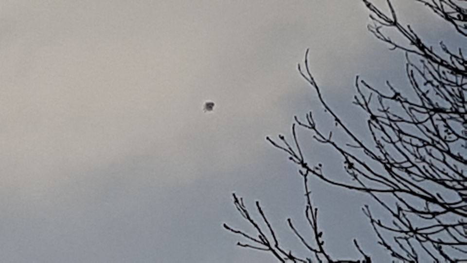 Niet identificeerbaar vliegend object te Lelystad deel 2 foto
