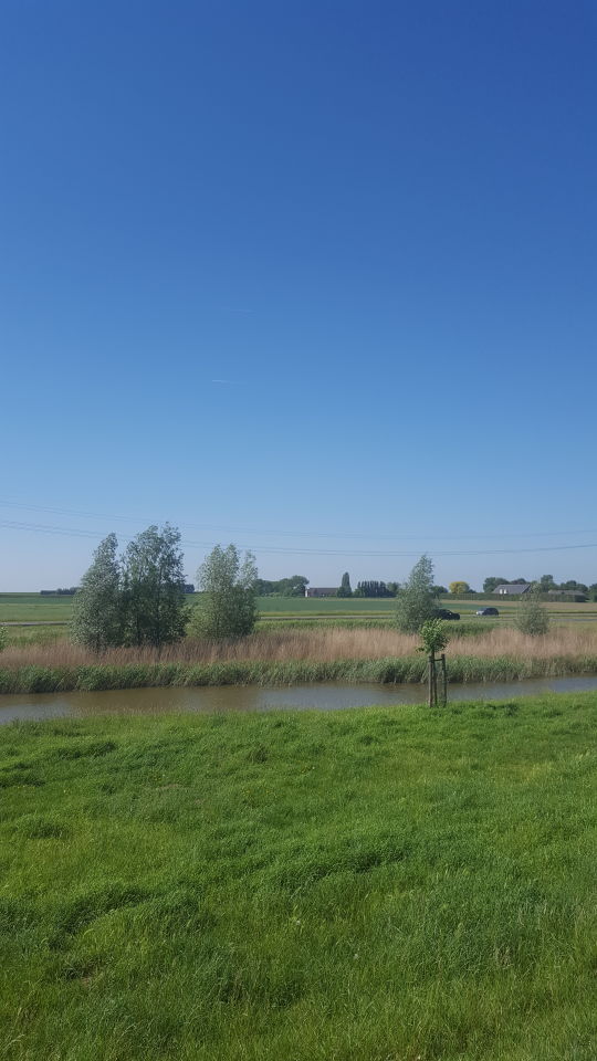Bol in Zeeland foto