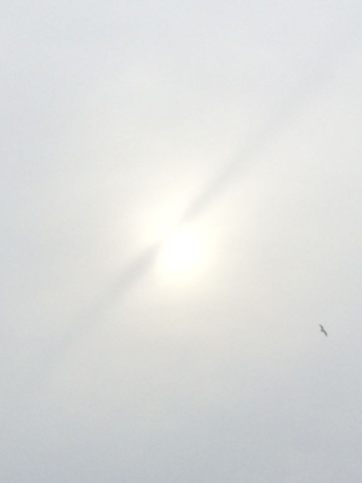 Zwarte lijn voor de zon foto