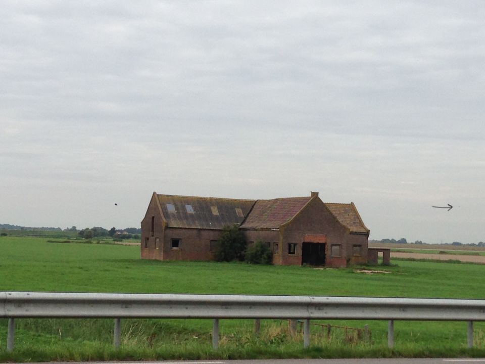 Ik zag opknoping een grijze bal op de foto die ik later gekeken heb. foto