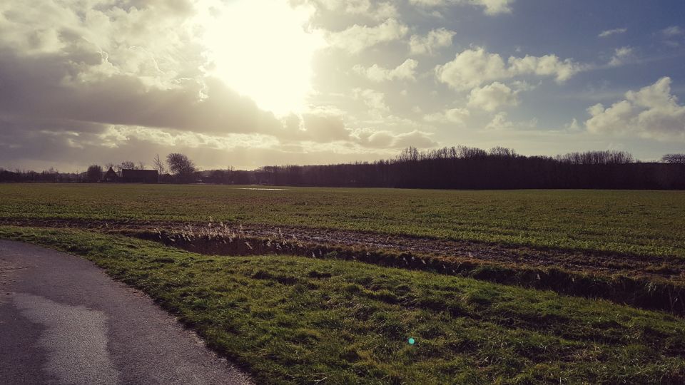 Perfect rond groen balletje ter grote van een tennisbal foto