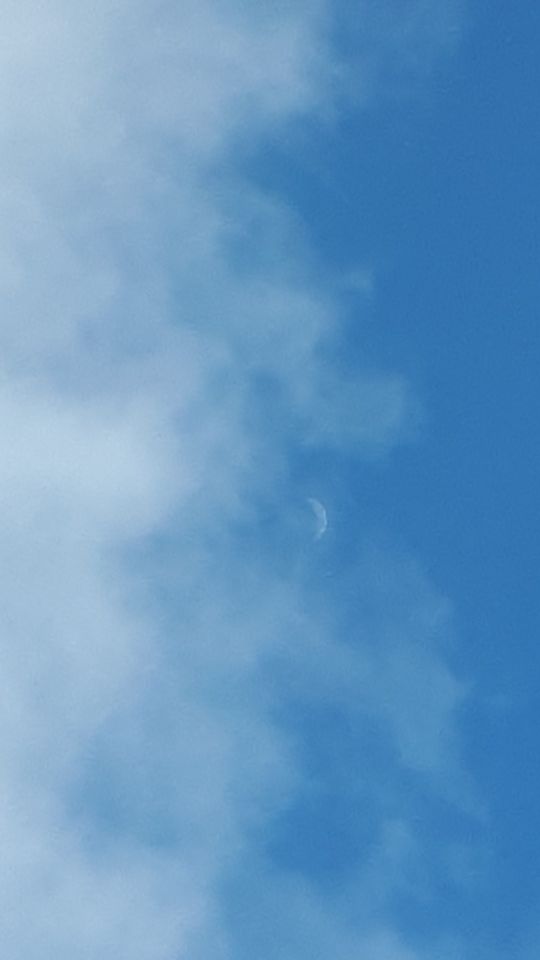 Half ronde maan die vliegt foto