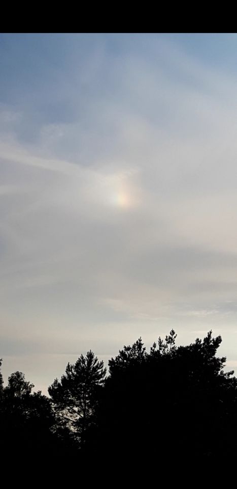 Bewegende oranje bol met regenboogkleuren en staart foto