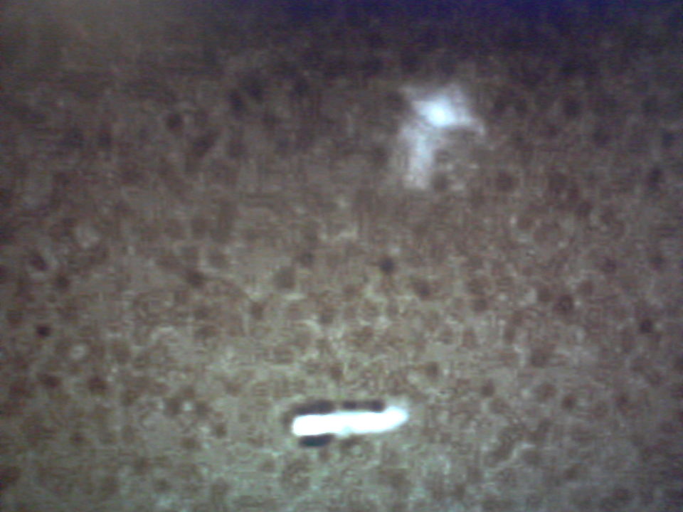 Ufo bijna tegen een lijnvliegtuig aan foto