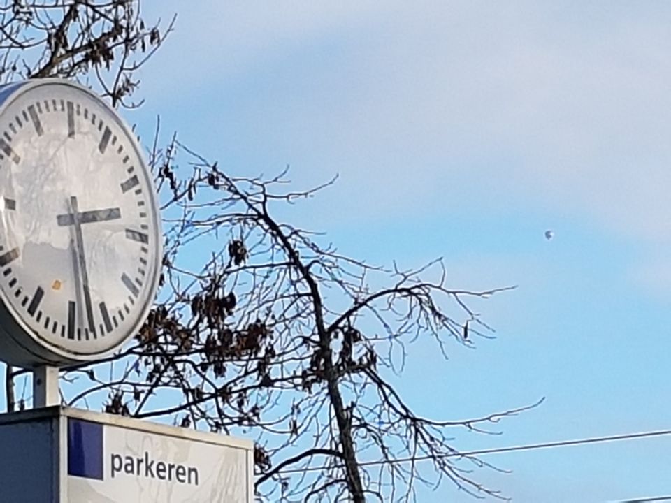 Zilvergrijze bol foto