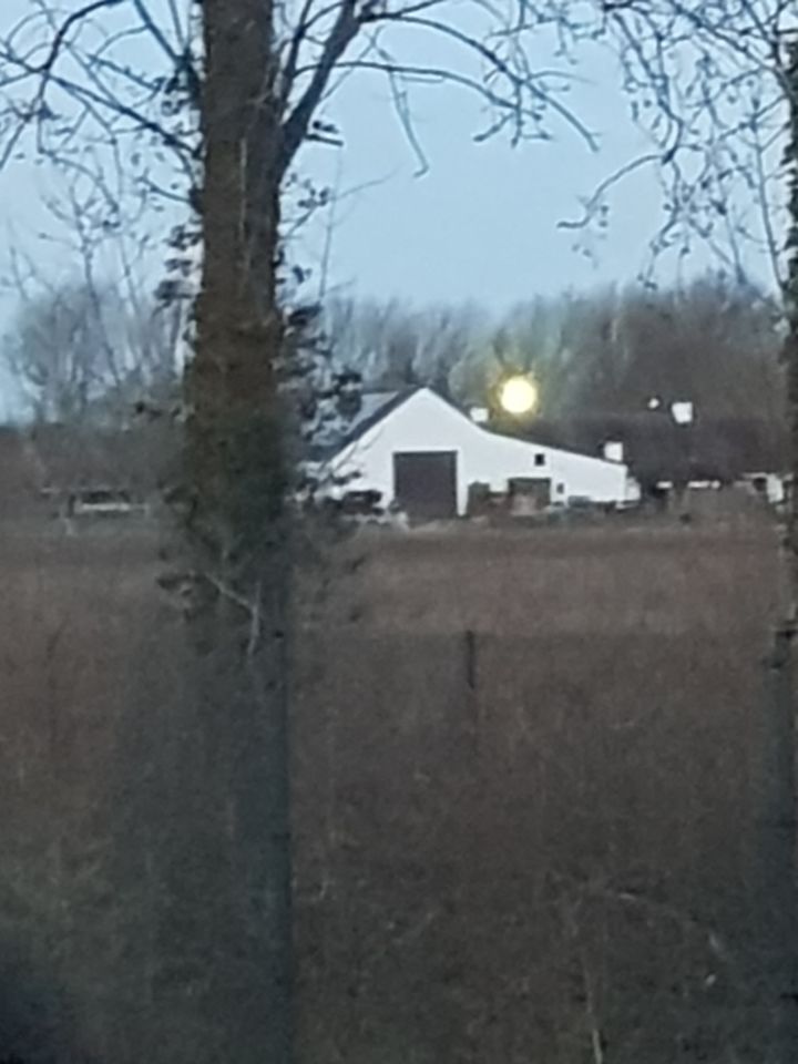Zie t licht foto