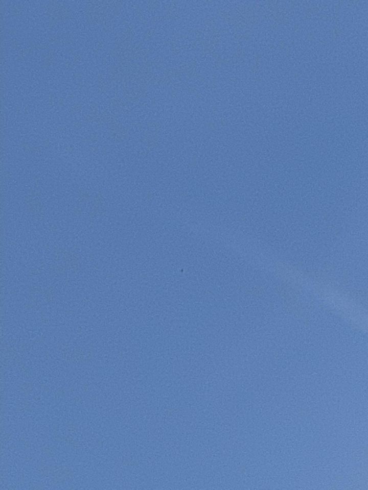 Zwarte vliegende bol tegen de blauwe lucht foto
