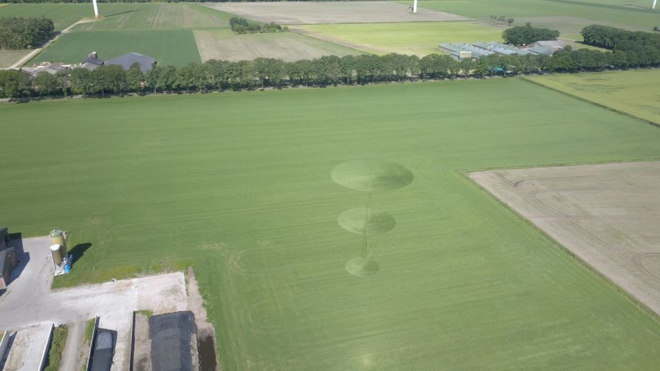 Cirkelvormige tekening in het gras foto