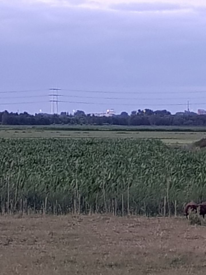 Langzaam bewegend lichtbol foto