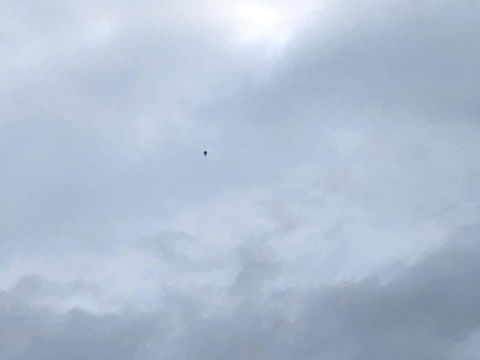 Een zwarte UFO langs de horizon foto