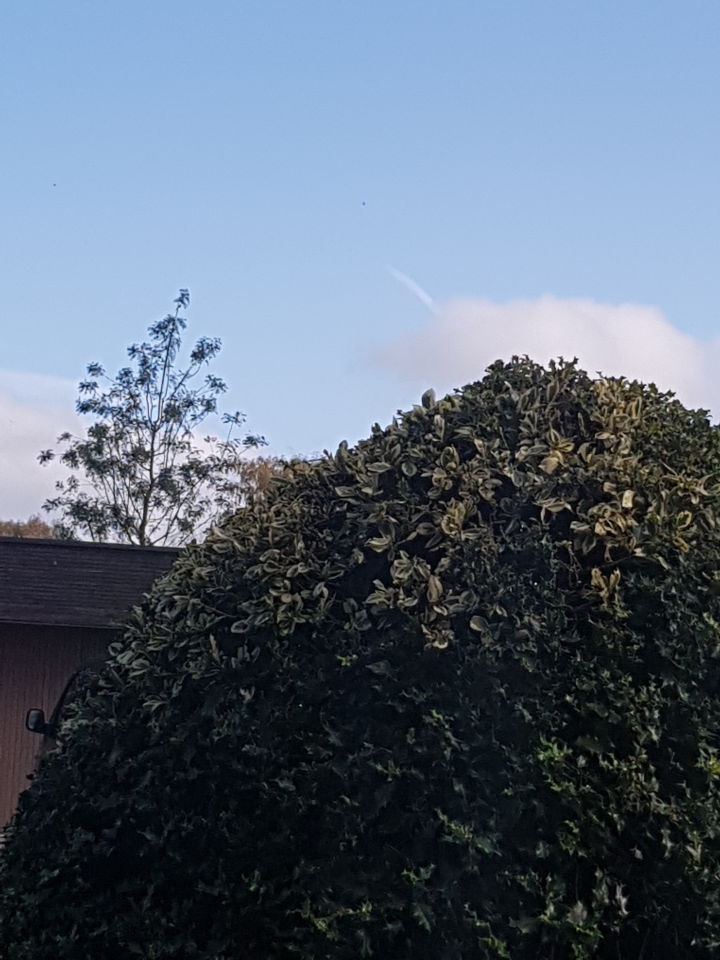2 ronde zwarte objecten en rare witte streep in de lucht foto